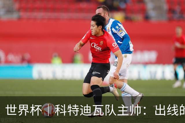 世界杯｜科特迪瓦队主帅：出线的关键在于团队成长