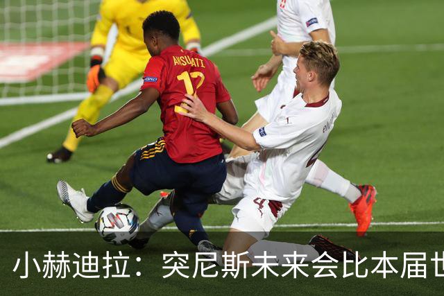 小赫迪拉：突尼斯未来会比本届世界杯更好 批评？我已经付出全力