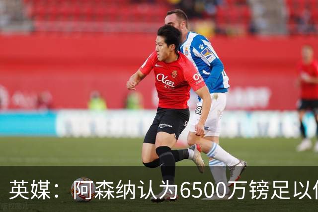 英媒：阿森纳认为6500万镑足以促成吉马良斯转会，纽卡不愿出售